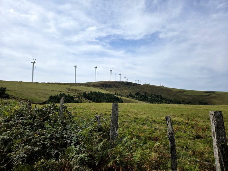 Fila de aerogeneradores en una loma, con un prado y una valla en primer plano