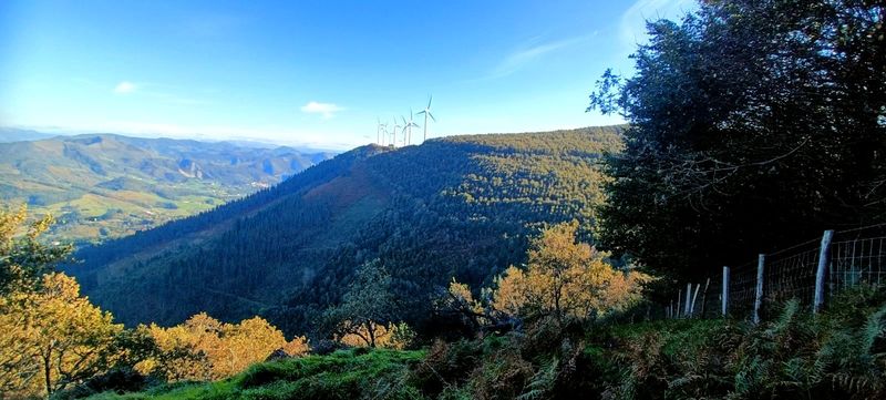 La loma boscosa que sube hacia los aerogeneradores del cordal, con robles y helechos en tonos de oto&ntilde;o en primer plano y el valle abri&eacute;ndose a la izquierda