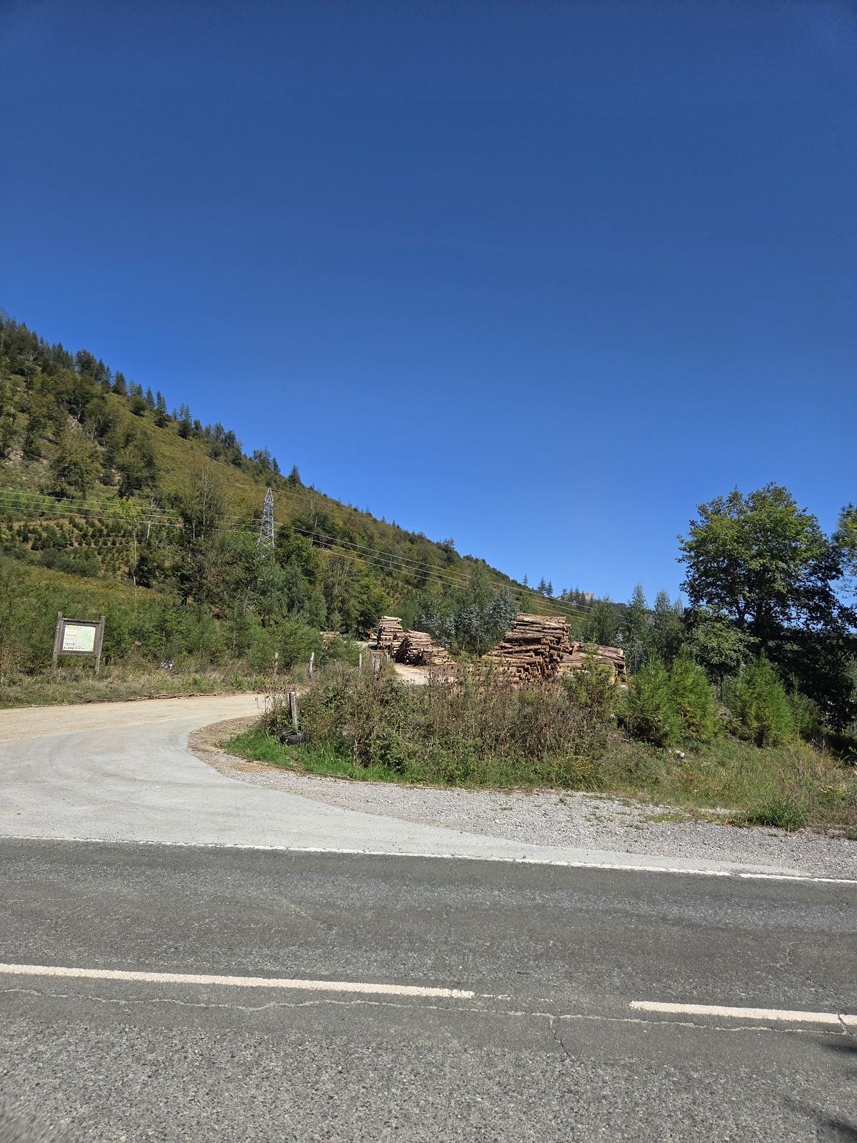 Pista de grava que sale de la carretera junto a un panel informativo, con pilas de troncos cortados y la ladera del monte detr&aacute;s