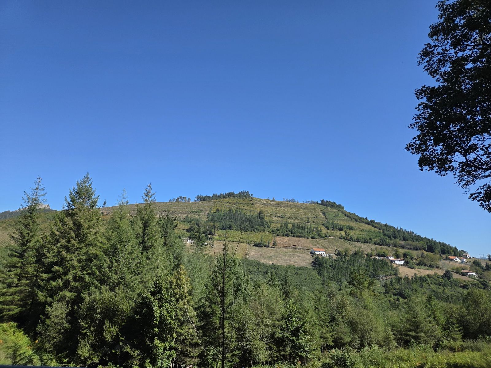 Ladera de monte con caser&iacute;os y prados entre pinares, bajo un cielo despejado