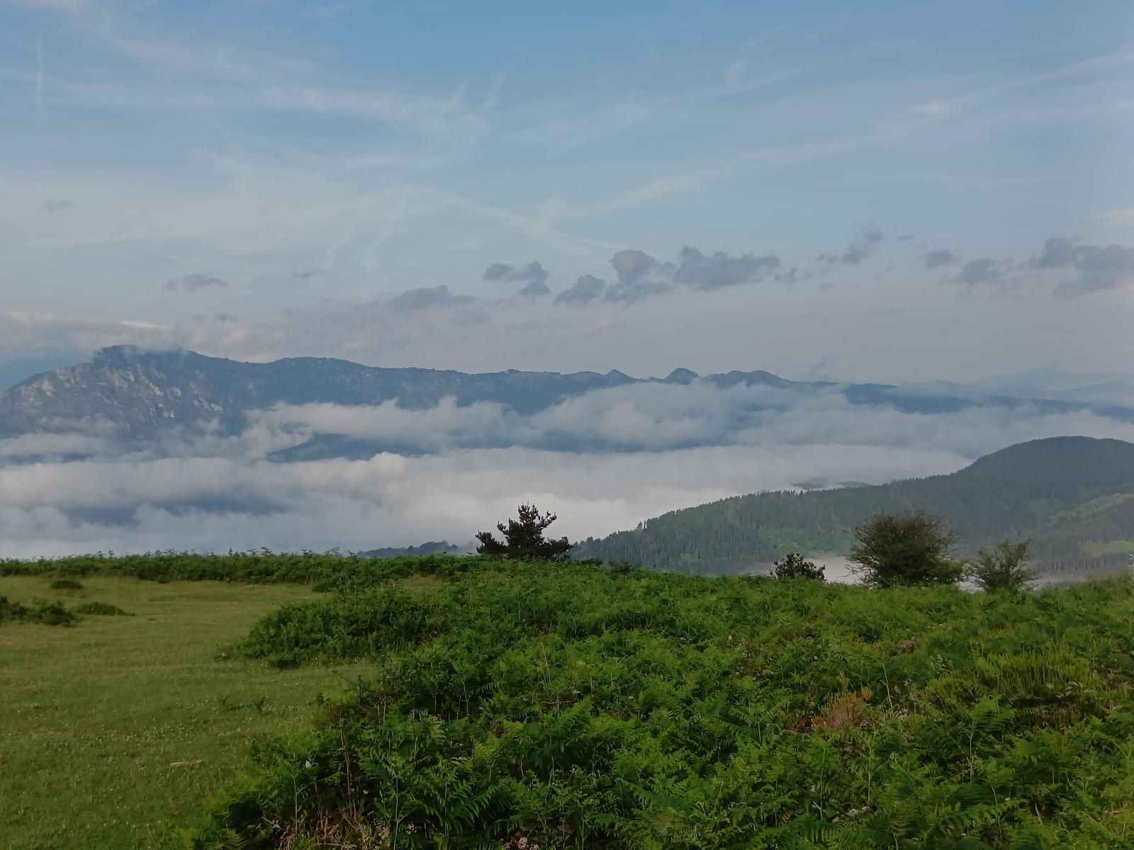 Vista de las monta&ntilde;as entre la niebla, desde un prado de helechos