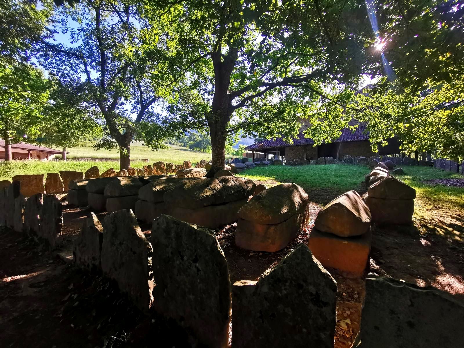 Sarc&oacute;fagos bajo los robles de la Necr&oacute;polis de Argi&ntilde;eta, con la ermita al fondo