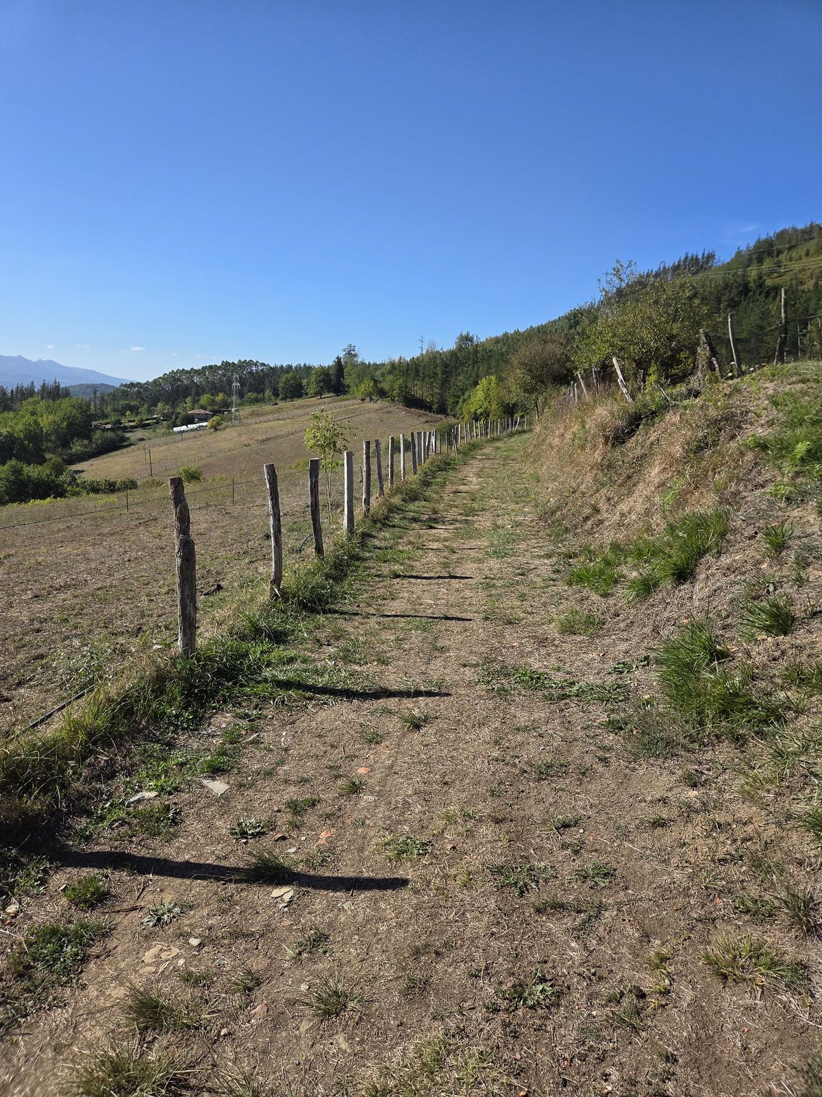 Pista entre prados junto a una valla de madera