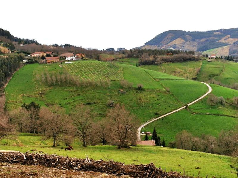 Vista del valle desde la ruta, con caser&iacute;os, un prado con caballos y una pista serpenteando entre los montes