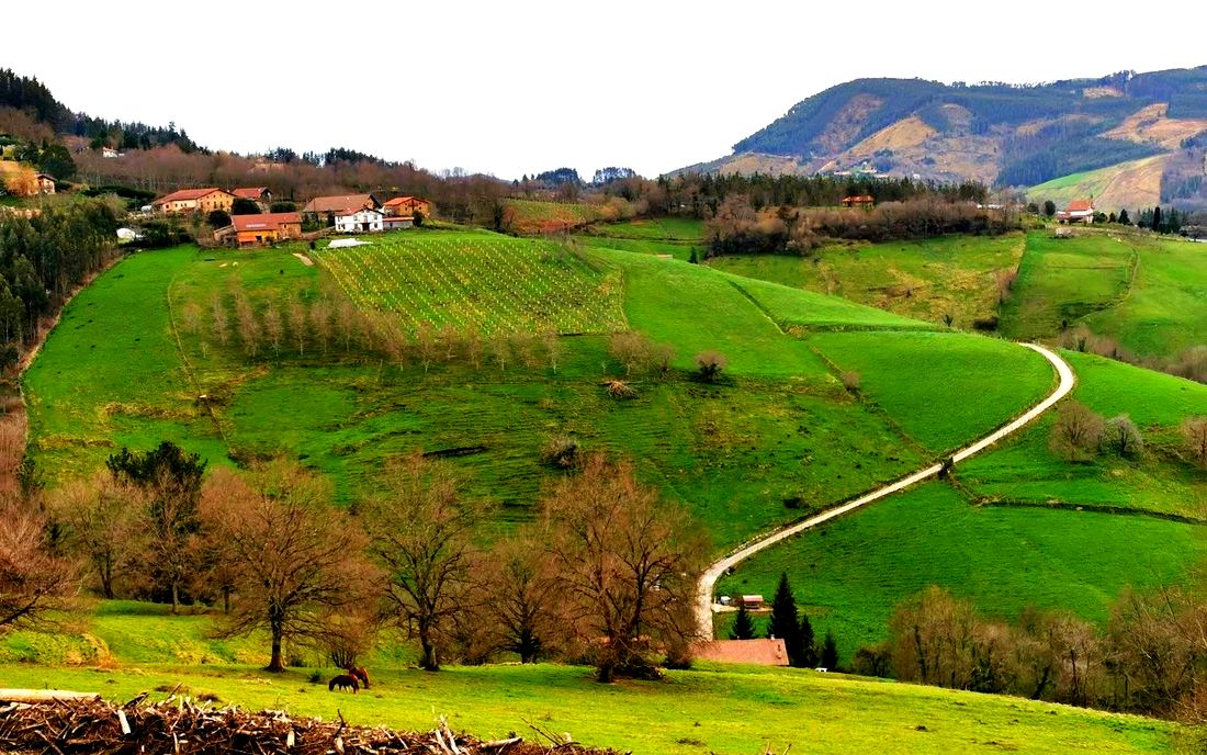 Vista del valle desde la ruta, con caseríos, un prado con caballos y una pista serpenteando entre los montes