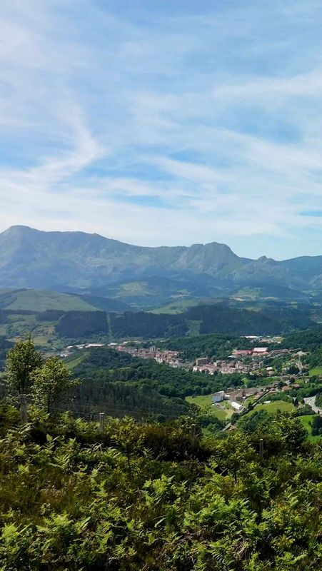 Vista del valle con el pueblo abajo y una sierra rocosa al fondo, desde detr&aacute;s de los helechos