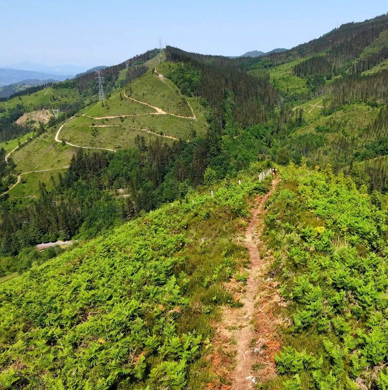 El sendero por la cresta entre helechos, con un corredor al fondo y las pistas serpenteando por la ladera de enfrente