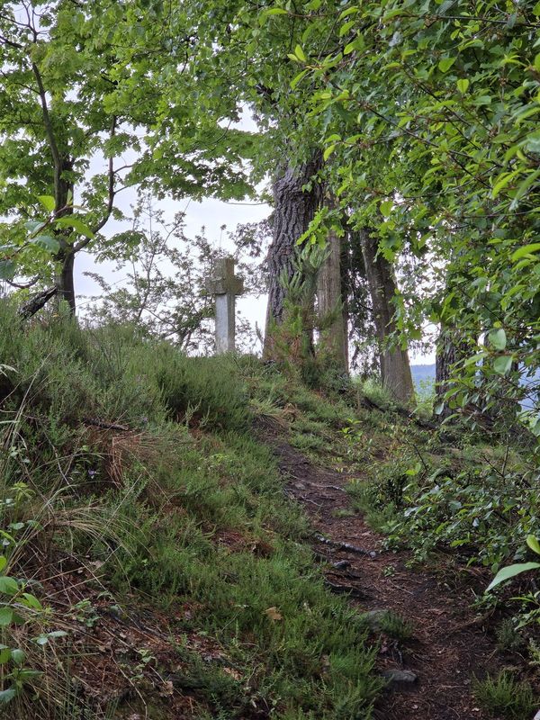 Cruz de piedra en un alto de la ruta, entre &aacute;rboles y un sendero entre helechos y brezo