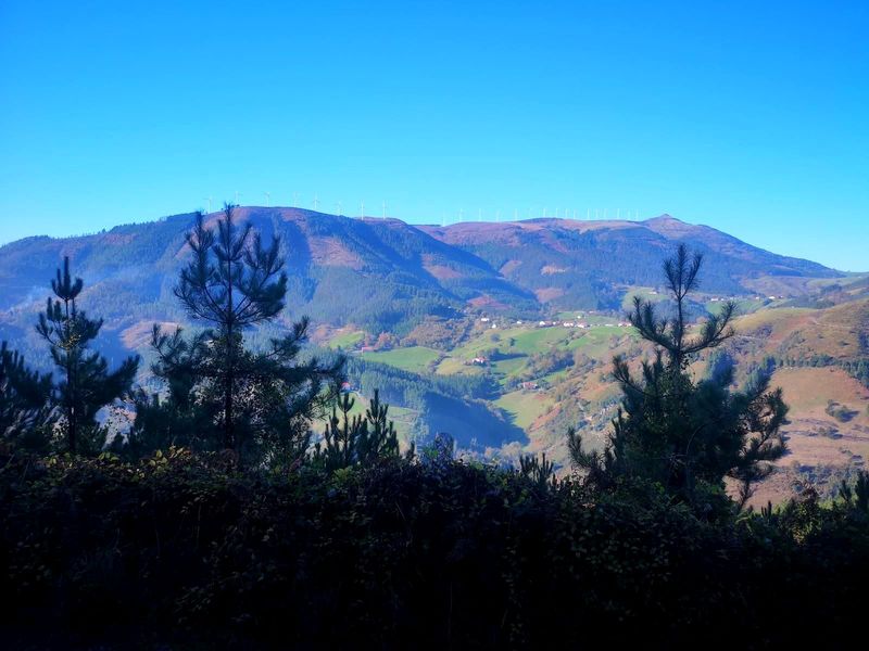 Vista de los montes del entorno con los aerogeneradores del Oiz al fondo, y el valle con caser&iacute;os en primer plano, entre pinos j&oacute;venes