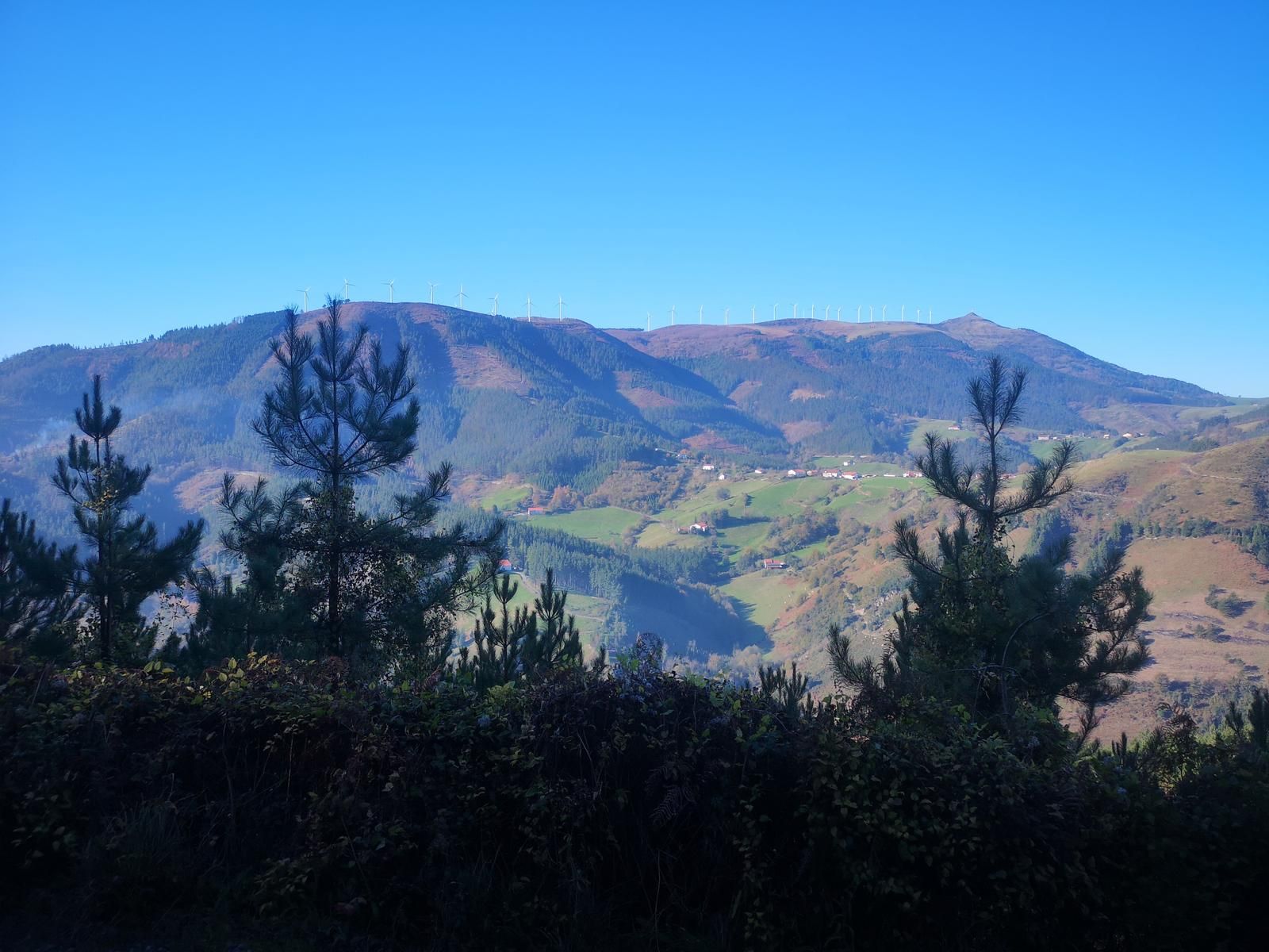 Vista de los montes del entorno con los aerogeneradores del Oiz al fondo, y el valle con caser&iacute;os en primer plano, entre pinos j&oacute;venes