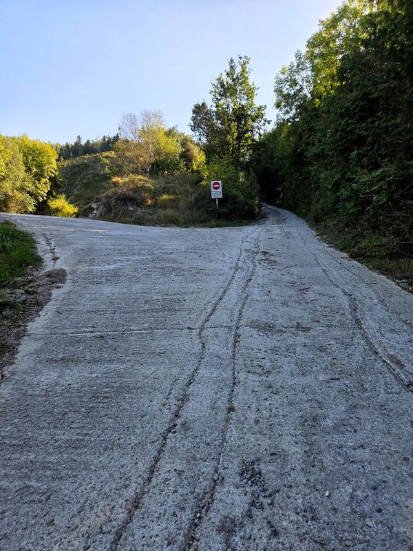Pista de cemento subiendo entre el arbolado, con una se&ntilde;al de prohibido el paso al fondo
