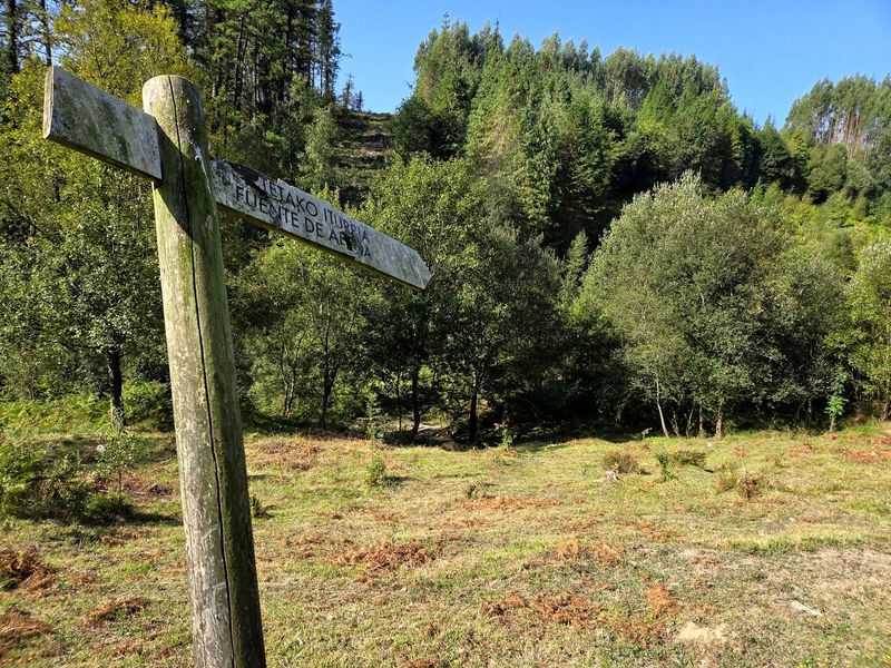 Poste indicador de madera hacia la fuente de Arteta, con el bosque y la campa al fondo