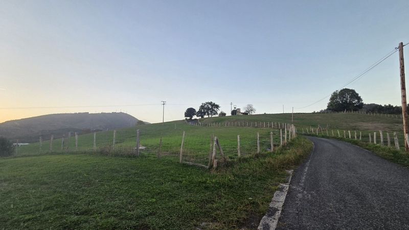 Asfaltozko bidea belardi eta hesien artean