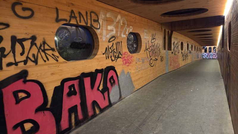 Errepide azpiko pasabidea, hormak margotuta