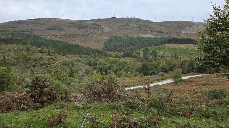 La cresta de Oiz con los molinos, las plantaciones de pino y una pista cruzando el valle