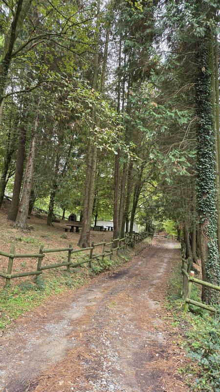 El área recreativa de Lasiar, con las mesas detrás de una valla de madera entre los pinos