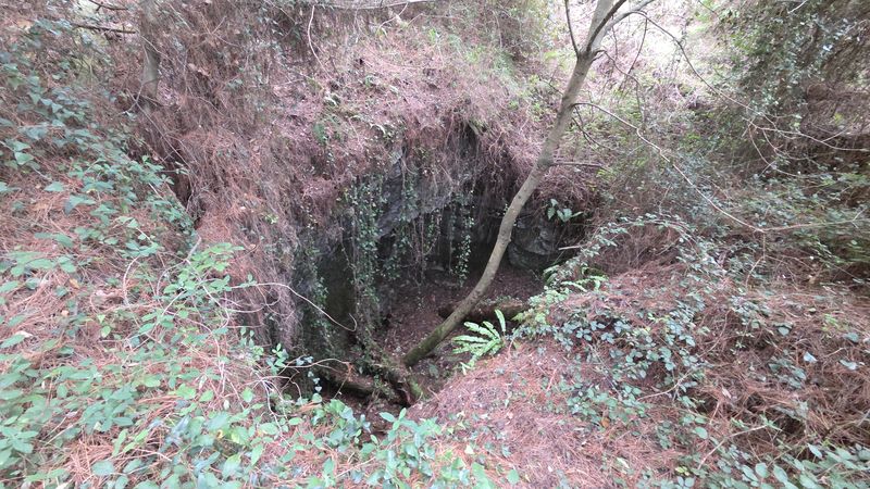Una sima abierta en el monte, con las paredes de roca cubiertas de hiedra