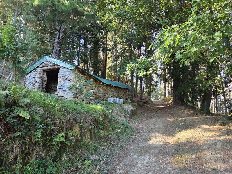 Borda de piedra con tejado verde entre pinos altos, junto al camino