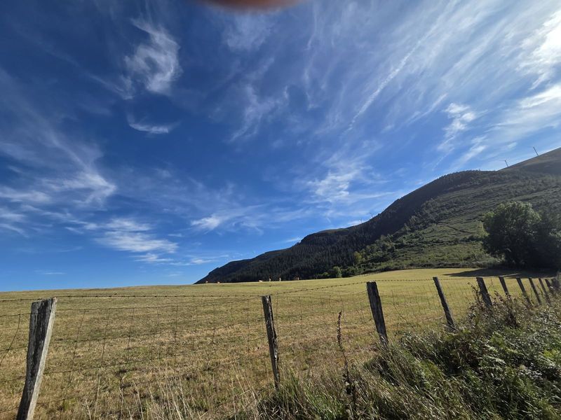 Alambrada junto a un prado, con un monte boscoso al fondo