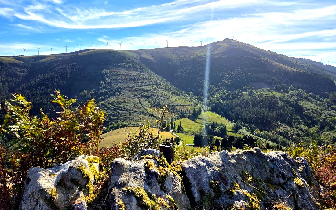 Vista del cordal con la fila de aerogeneradores y las antenas de la cima al fondo, tras un muro de piedra entre helechos