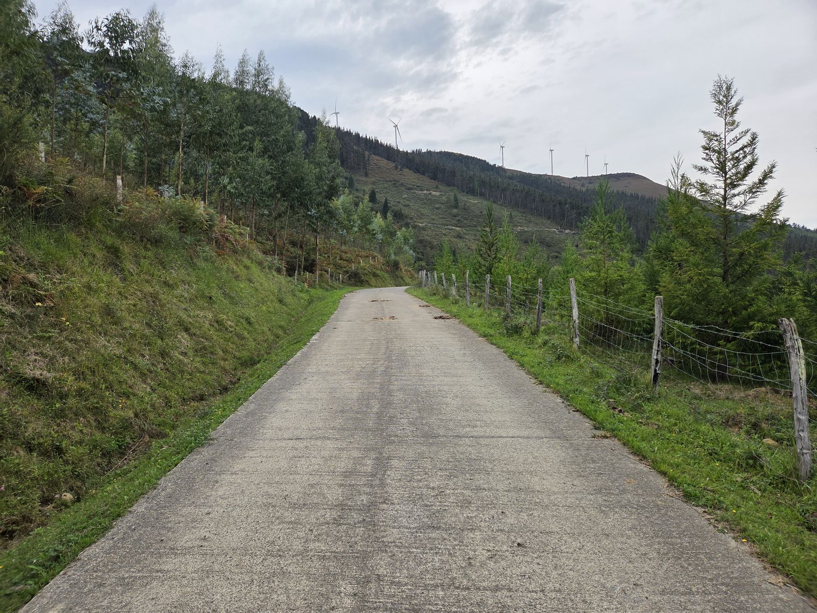 Zementuzko pista landaketen artean, eolikoak gailurrean