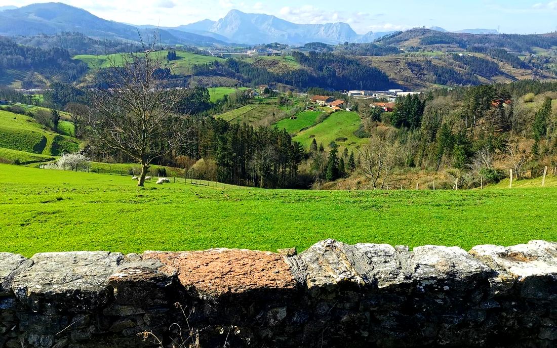 Muro de piedra junto al camino con ovejas pastando y montañas al fondo
