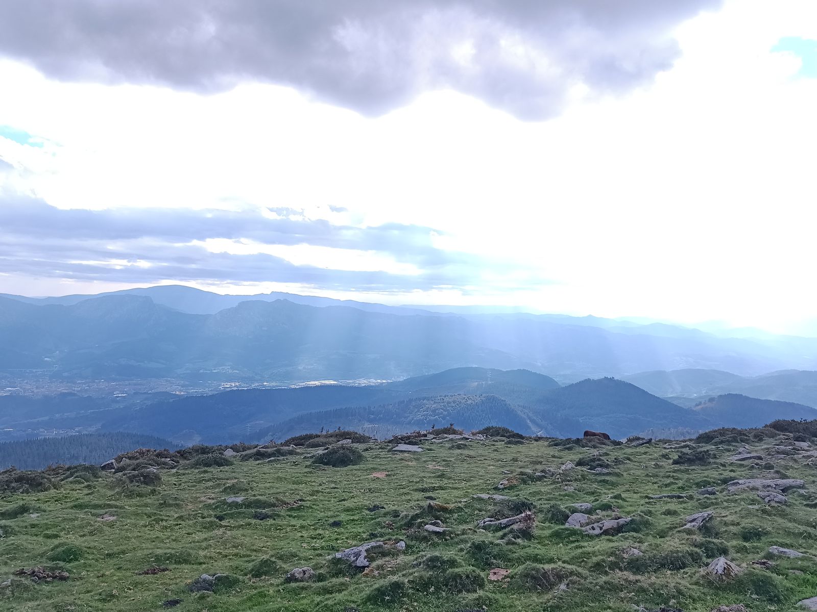 Vaca pastando con rayos de sol entre las nubes sobre el valle