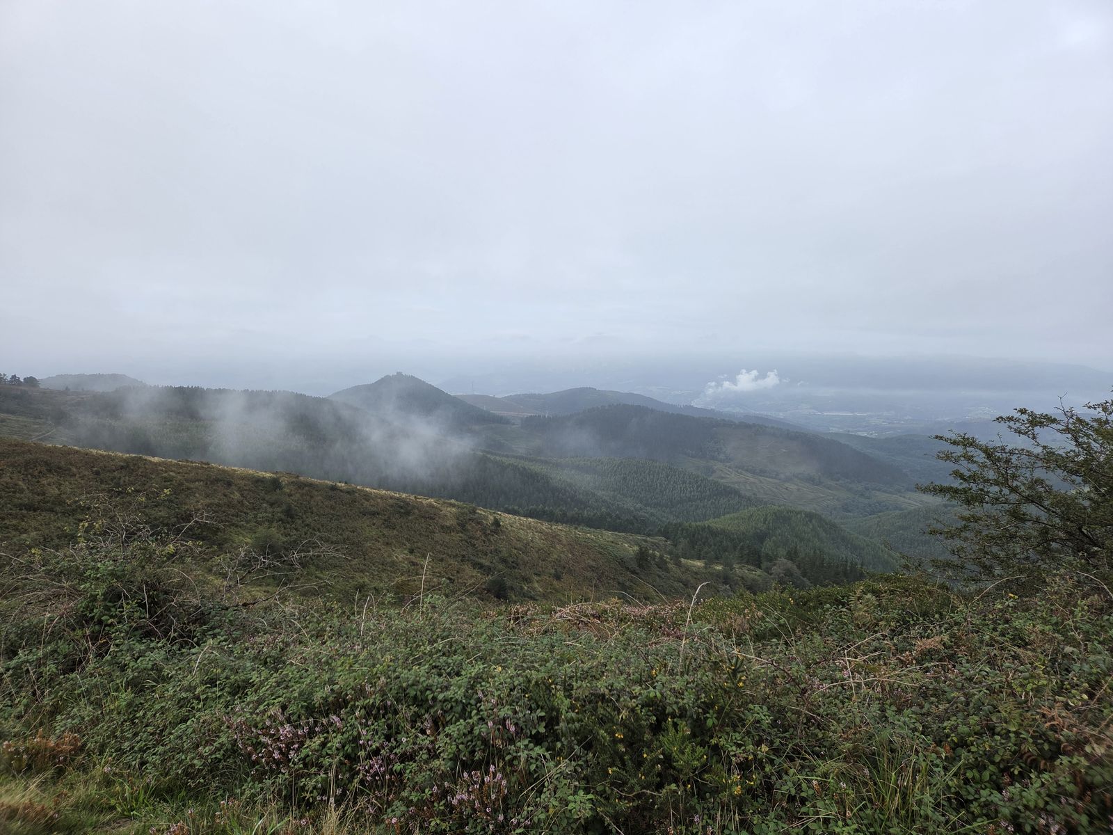 Valle con niebla y humo de una zona industrial al fondo