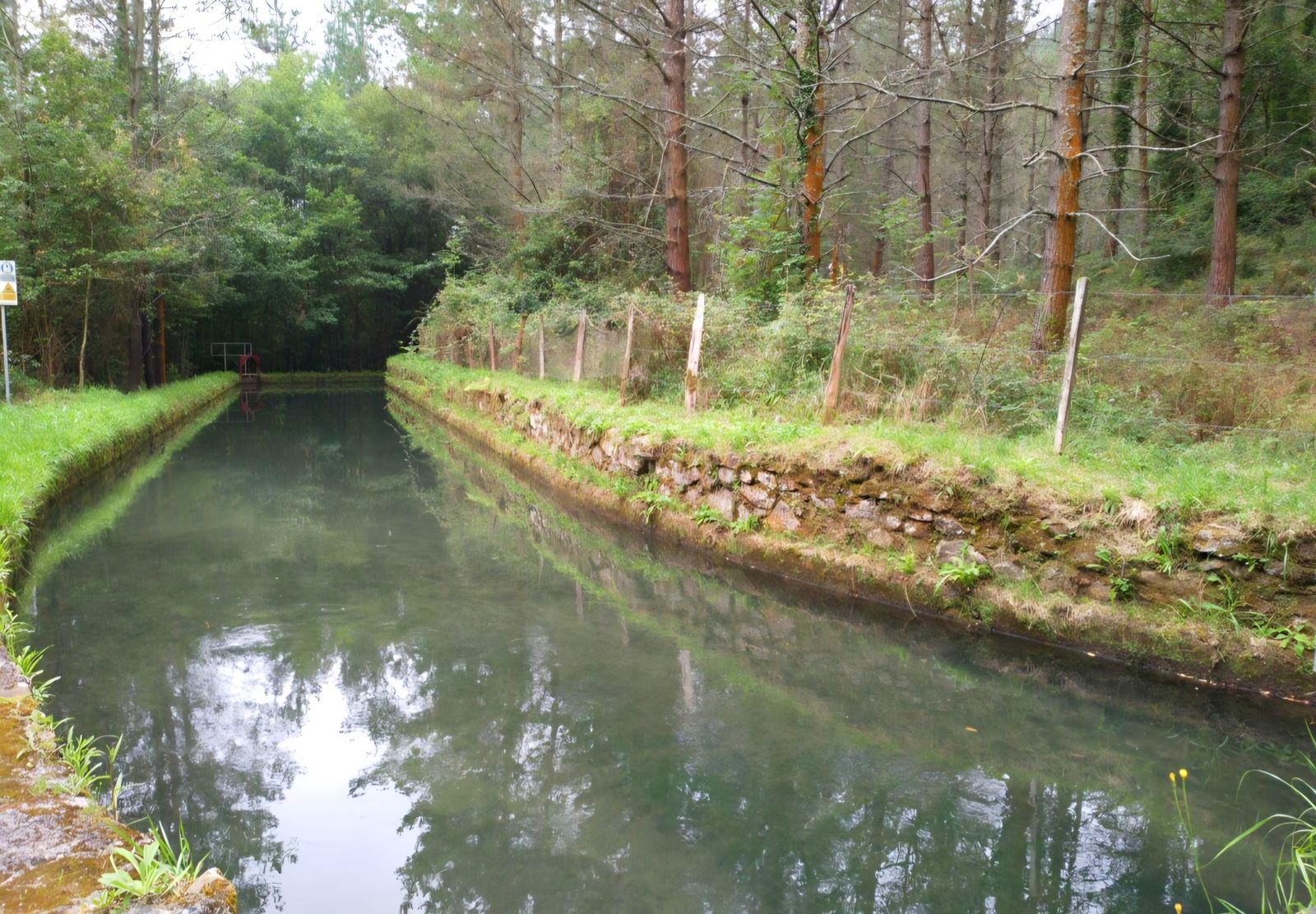 Canal de la Central Patala entre los &aacute;rboles, aguas arriba