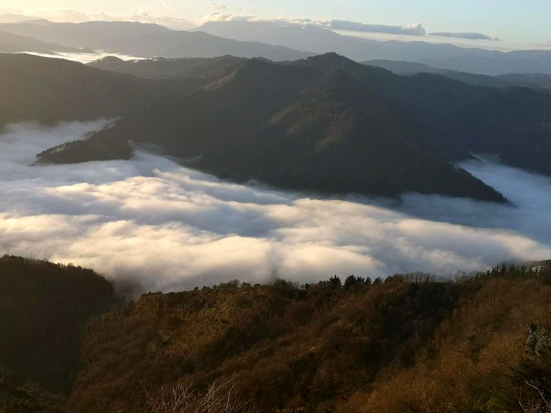 Mar de nubes visto desde una loma, con las monta&ntilde;as asomando entre la niebla