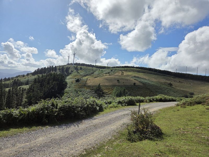 Pista de tierra hacia los aerogeneradores del cordal, en la subida desde Zengotita