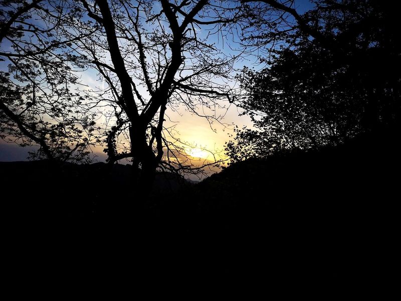 Ascenso hacia Urko entre &aacute;rboles a contraluz, con el amanecer al fondo