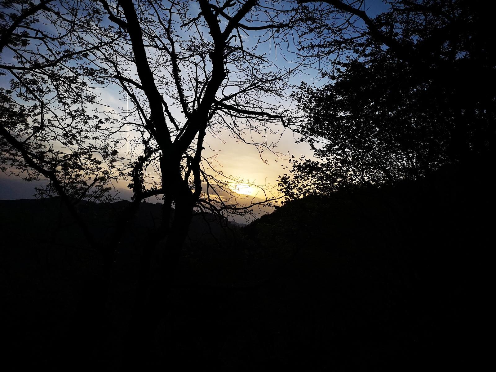 Ascenso hacia Urko entre &aacute;rboles a contraluz, con el amanecer al fondo