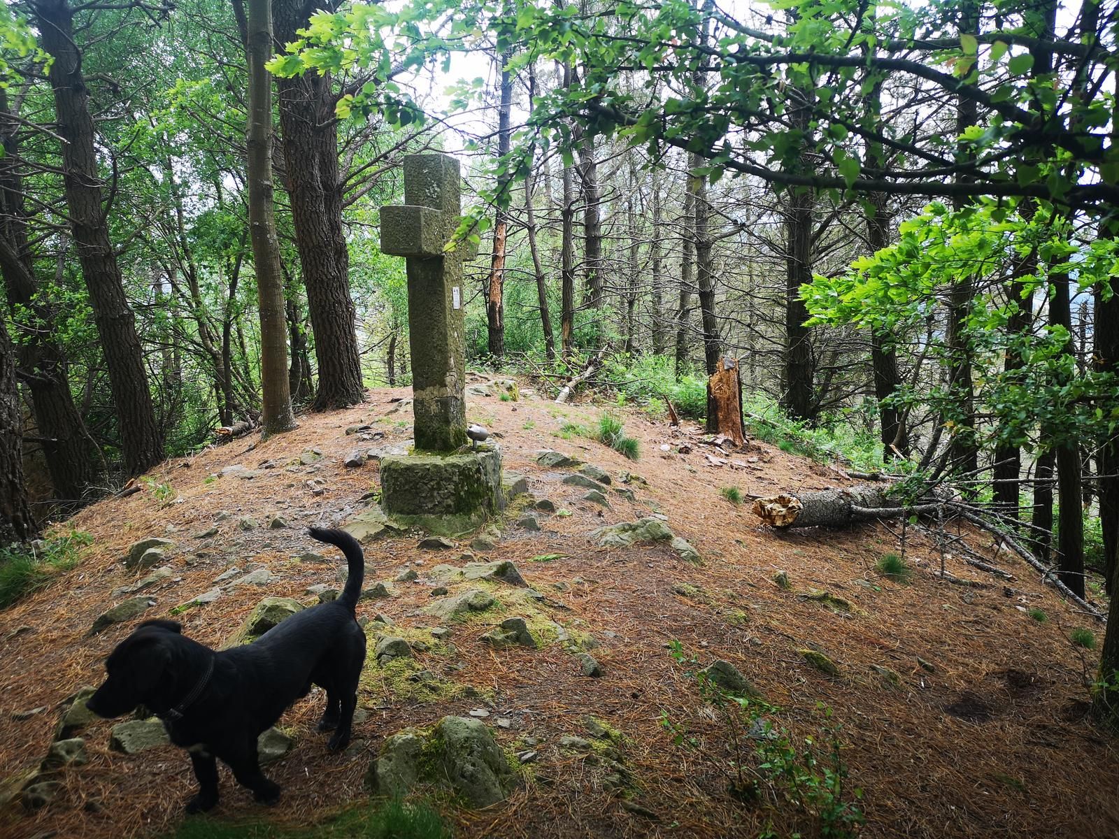Cruz de piedra entre &aacute;rboles en Arietxu, con un perro junto a ella