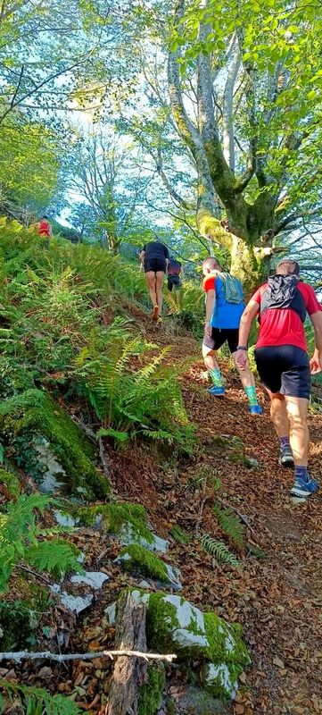 Corredores subiendo un sendero entre helechos y un &aacute;rbol cubierto de musgo