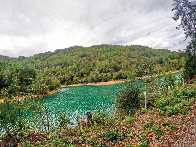 El embalse de Aixola, con el agua verde entre las laderas de bosque
