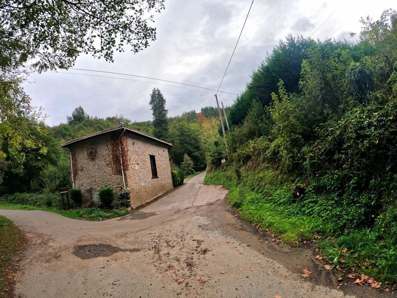 Caser&iacute;o de piedra en un cruce de caminos, con la pista subiendo hacia el pinar