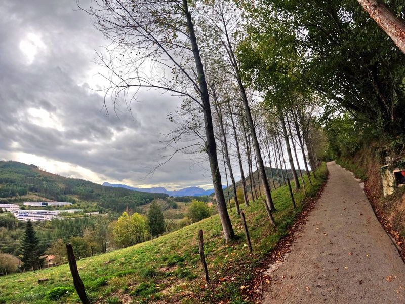 Pista con una hilera de &aacute;rboles sobre el valle, con el pol&iacute;gono abajo y las monta&ntilde;as al fondo