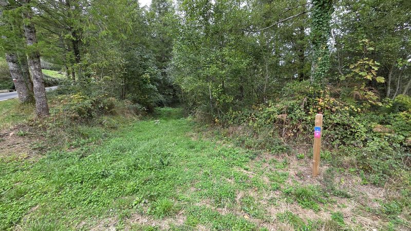 La entrada del sendero herboso junto a la carretera, con el poste de marcas a la derecha