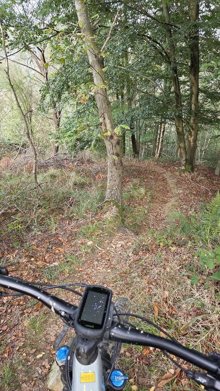Vista desde el manillar de la entrada del sendero al bosque, con el GPS en primer plano