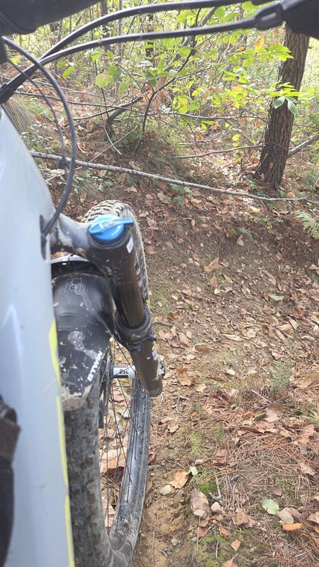 La rueda delantera al borde de la bajada, con el sendero cayendo entre la hojarasca