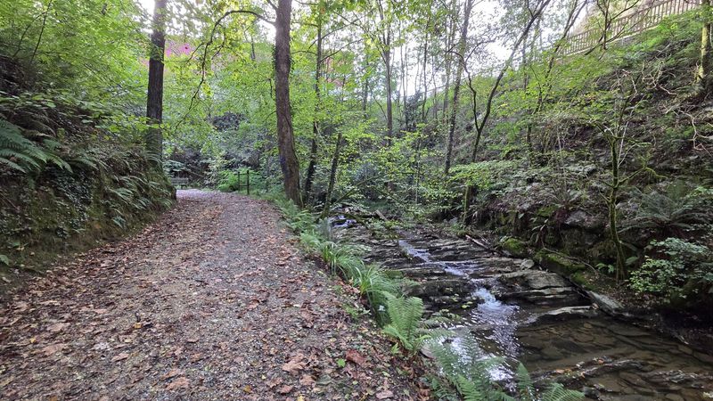 Pista junto al arroyo, con el agua saltando entre las losas de piedra