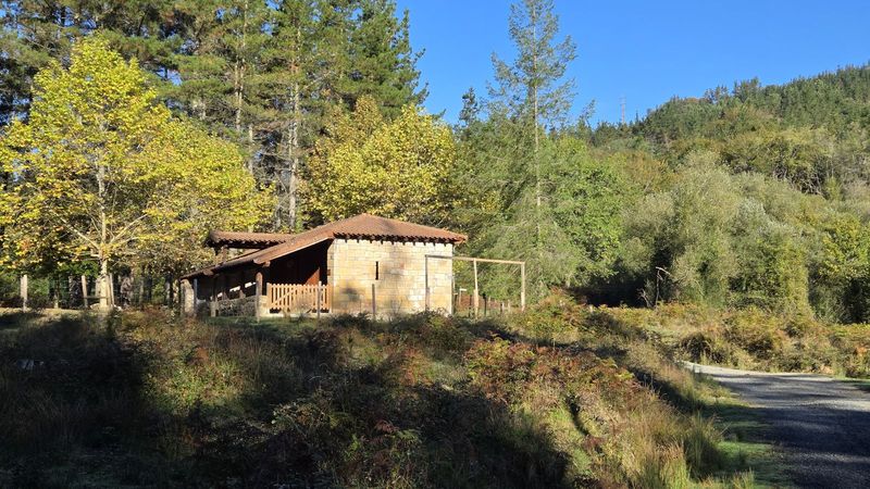 Ermita de piedra con p&oacute;rtico de madera y tejado de teja, rodeada de pinos y robles