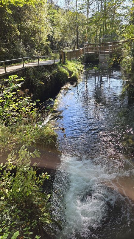 Canal de agua junto a una carretera estrecha, con una pasarela de madera cruz&aacute;ndolo