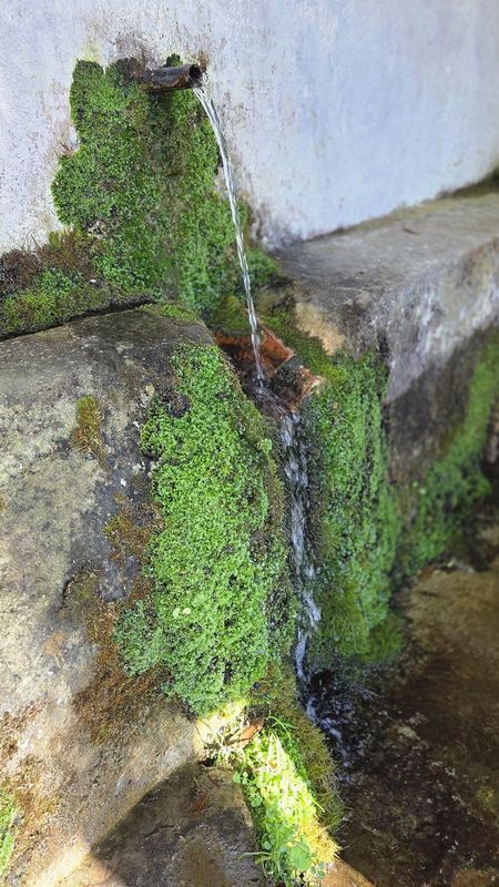 Ca&ntilde;o de una fuente de piedra cubierta de musgo, con el agua cayendo al pil&oacute;n