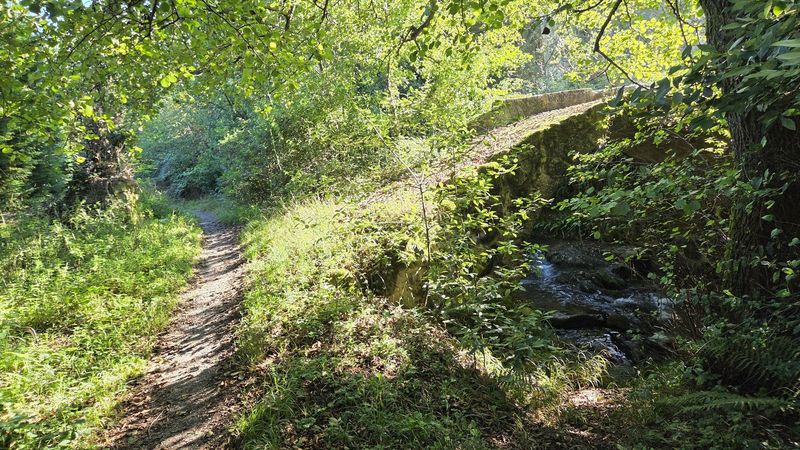 Sendero de tierra junto a un puente de piedra sobre un arroyo, entre vegetaci&oacute;n
