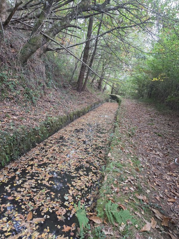 El canal en otoño, cubierto de hoja caída, con el camino a su derecha