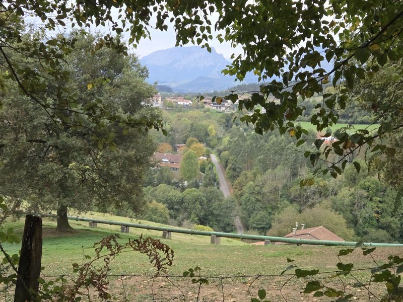 El valle entre las ramas, con el pueblo abajo y la peña de Mugarra al fondo