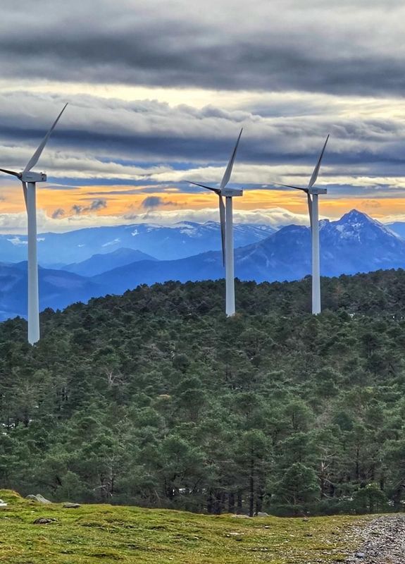 Tres aerogeneradores entre pinos, con monta&ntilde;as y un cielo nublado con un rayo de sol al fondo