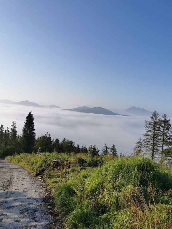 Mar de nubes visto desde la pista, con monta&ntilde;as asomando entre la niebla bajo un cielo despejado